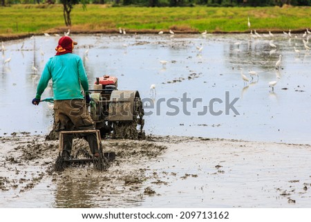 Thai farmer using walking tractors for cultivated soil for rice plantation in Thailand.