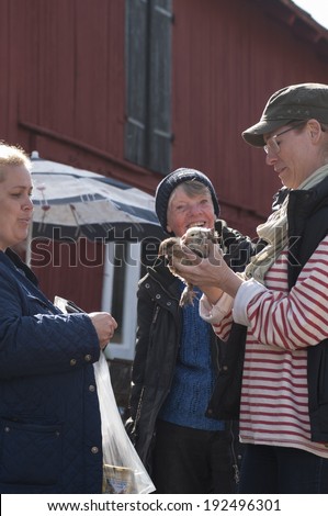 STOCKHOLM, SWEDEN - MAY 3:  A very friendly hens market at Varmdo in the Stockholm archipelago, May 3, 2014. Here are chickens, eggs, chickens, roosters, poultry and other market goods.
