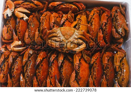fresh crabs