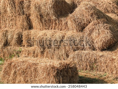 hay and straw bales in the end of summer-3