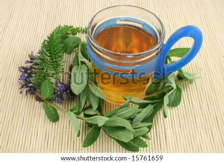 cup of tea and fresh herb
