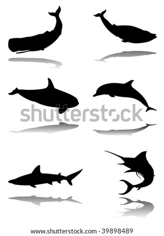 blue whale clip art. sperm whale, lue whale