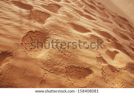foot step walk on sand dune