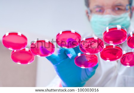 Scientist in protective gear handles several dishes with cultured cells in red culture medium