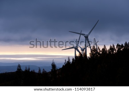 Three modern windmills behind a dark forest in twilight