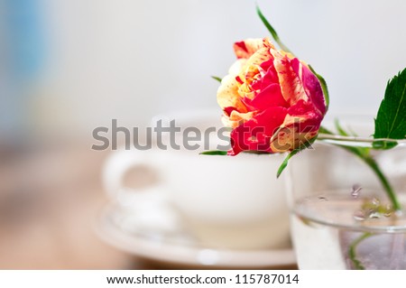 Closeup on a rose on in a coffee shop