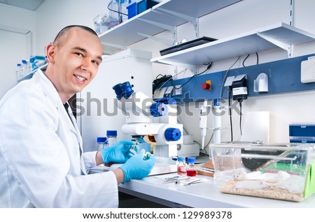 Young scientist works in the lab