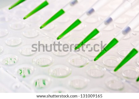 Closeup on automatic multipipette tips over 96 well plate for DNA amplification