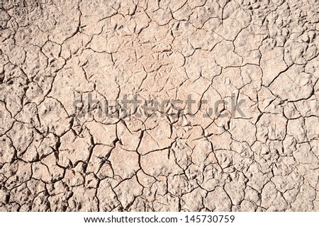 Dry cracked earth with bird footprints