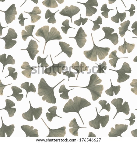 Gingko leaves isolated on white background, toned image, seamless pattern