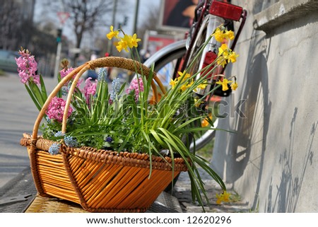 flower basket and an old bike on a street sidewalk