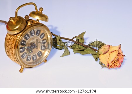 old-fashioned alarm clock set to quarter to eight and a dry yellow rose