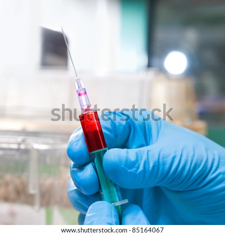 Hands in blue disposable gloves hold disposable syringe loaded for injection