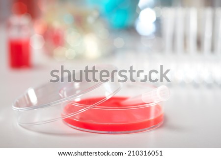 Plastic dish with cell culture medium, shallow DOF, background out of focus