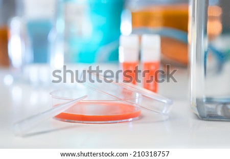 Plastic dish with cell culture medium, shallow DOF, background out of focus