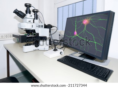 Modern microscope equipped with digital camera, computer and monitor