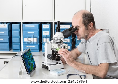 Senior male scientist or tech observes sample under the microscope