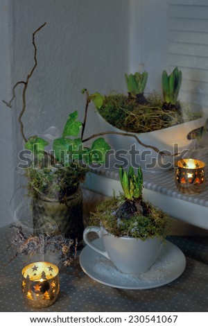 Two hyacinth plants in porcelain and candles indoors