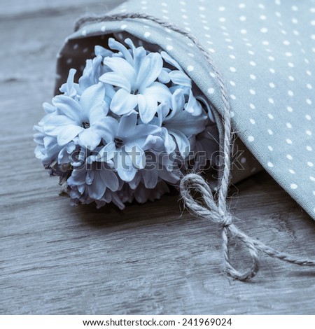 Closeup on blue hyacinth wrapped in cotton cloth