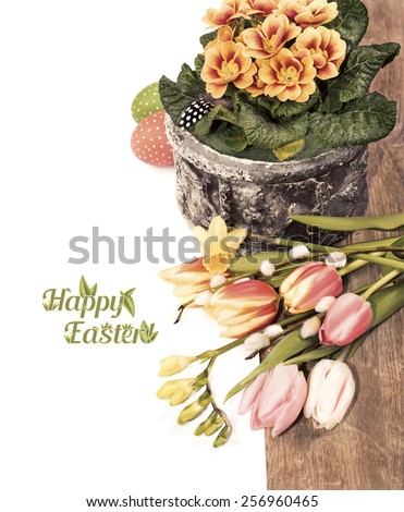 Easter border with primrose, spring flowers and painted eggs on wood and white background, space for your text. This image is toned