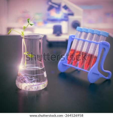 Experimental plant in a flask with research facility out of focus, focus on the plant