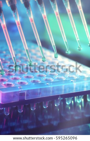 Scientific background. Multichannel pipette tips filled in with reaction mixture to amplify DNA in plastic wells. This image is toned.