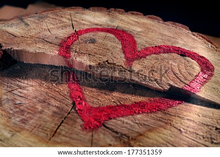Love and save nature, red heart drawn on a tree trunk, close-up. Help to protect nature, stop deforestation.
