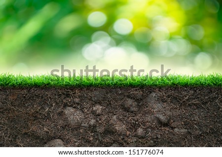 Soil and Green Grass in Beautiful Background