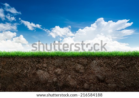 Loose soil and green grass on blue sky background
