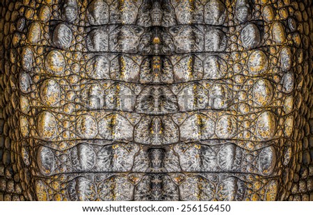 Dark brown crocodile leather for background and texture