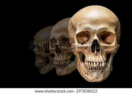 Fade step of human skull aspect from side to front on black background