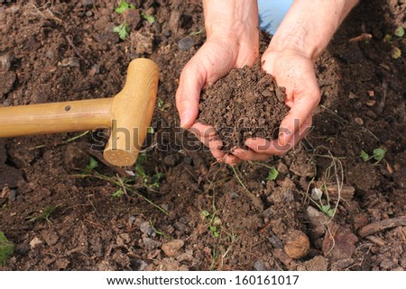 Composted Earth With Hands