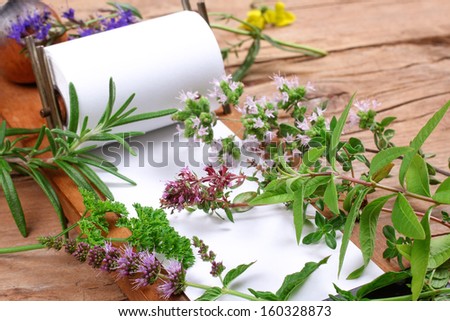 Fresh herbs an paper for notes