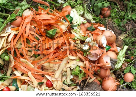 Bio-Waste For Compost Earth