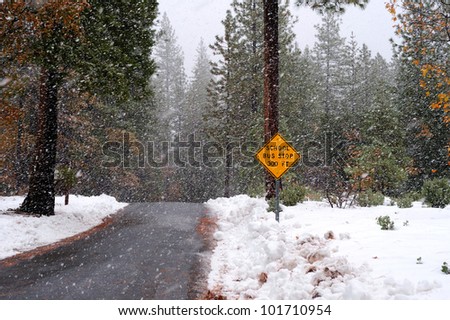 A single lane road with a sign notifying that there is a school bus stop ahead in the winter time with heavy snow starting to fall