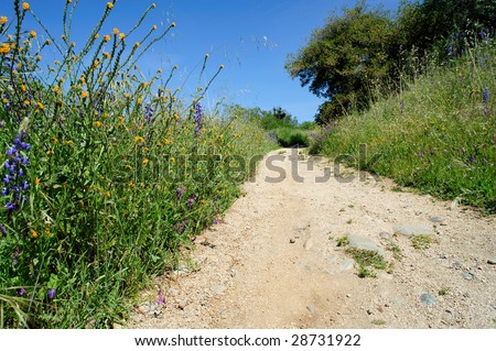 A dirt running path winds through spring flowers and Oak trees in a rural neighborhood on a clear day.