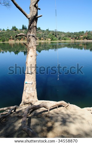 A river rope swing waiting for someone to take the first plunge into the water on a hot summer day