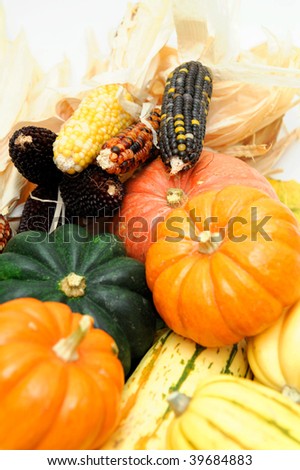 Assorted squash including green and white Acorn, Gold Nugget, Delicata, small pumpkins and colorful Indian corn on a light colored background.