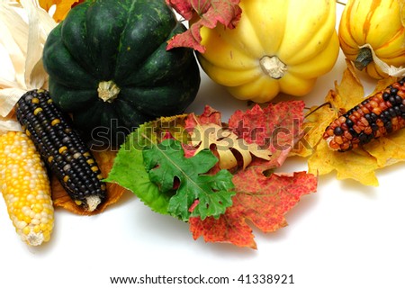 Yellow and green acorn squash with Colorful Indian Corn and Autumn leaves isolated on white
