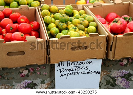 Boxes of different kinds of tomatoes for sale at an outdoor market with a sign stating no pesticides were used
