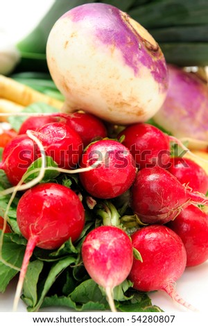 Assorted root veggies including Turnip radish parsnip carrot green onion Spanish onion garlic and leek on a light colored background