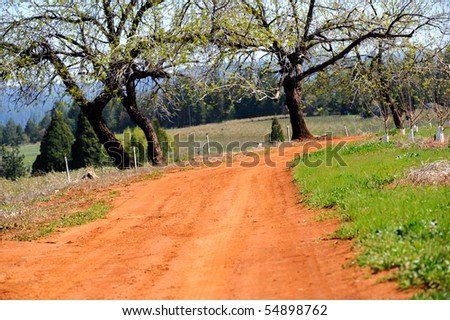 Dirt road running through red soil with oak trees and open fields in the distance with forest in the background. Grass and a young fruit orchard are on the right side of trail.