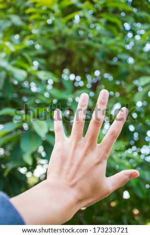 hand nature  background