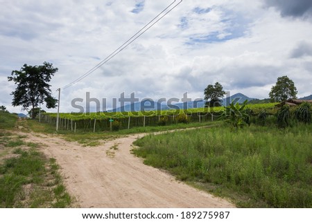 landscape road mountains outdoor,sky