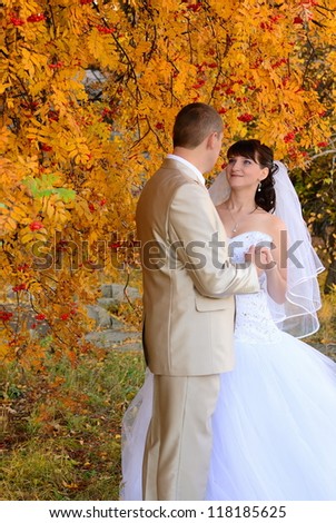 The bride holds hands of the groom on the autumn avenue and looks in the face