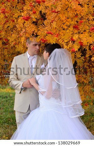 The bride and the groom near an autumn tree