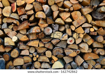 Wooden logs harvested in the winter