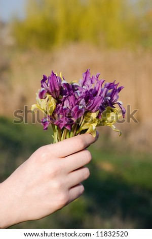 Hand is holding bouquet over field background