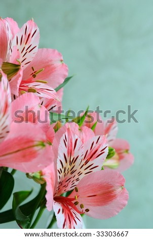 Lilies bouquet against green background
