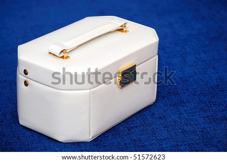 Box for cosmetics from a white skin